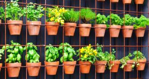 Big Gardening Ideas For Small Spaces - Farmers' Almanac - Plan Your Day.  Grow Your Life.