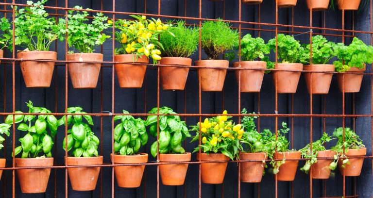 Big Gardening Ideas For Small Spaces - Farmers' Almanac - Plan Your Day.  Grow Your Life.